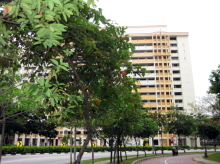 hougang-street-91 photo thumbnail #11